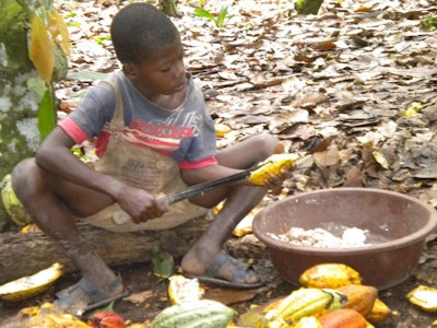 Two of the world’s largest coffee companies Nestle and Jacobs Douwe Egberts say beans bought from Brazilian plantations may have been grown using slave labor because they do not know the names of all the plantations that supply them.