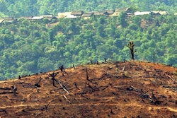Deforestation in Burma 57603ee746bd5