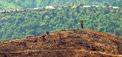 Deforestation in Burma 57603ee746bd5