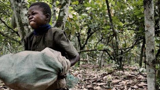 child labor 2 575af767833f5