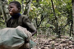 The global anti-slavery movement is continuing to grow and new regions of the world are drafting anti-slavery bills.