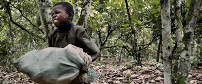 The global anti-slavery movement is continuing to grow and new regions of the world are drafting anti-slavery bills.