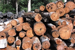 lumber logs 598a1efd0e542