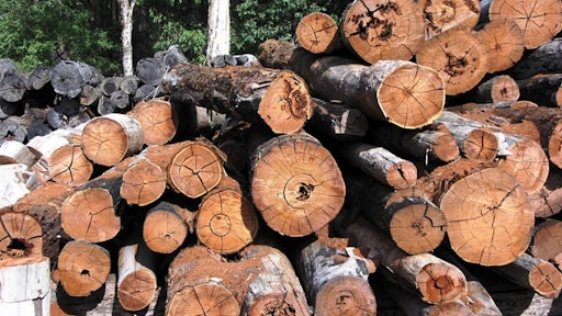 lumber logs 598a1efd0e542