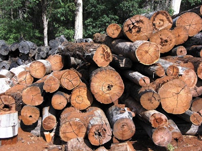 lumber logs 598a1efd0e542