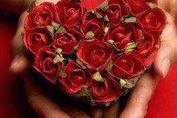 Valentine Day Flowers