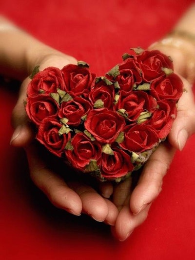Valentine Day Flowers