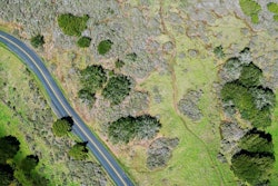 Drone View Aerial View Road Route Grass 1349483