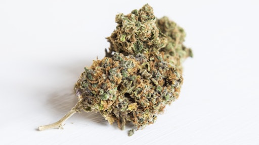 Cannabis