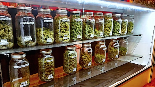 Cannabis
