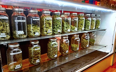 Cannabis