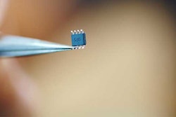 Chinesemicrochip