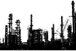 Oil