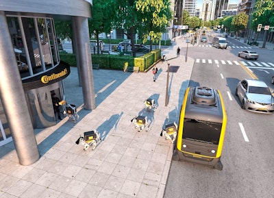 Robot Dog