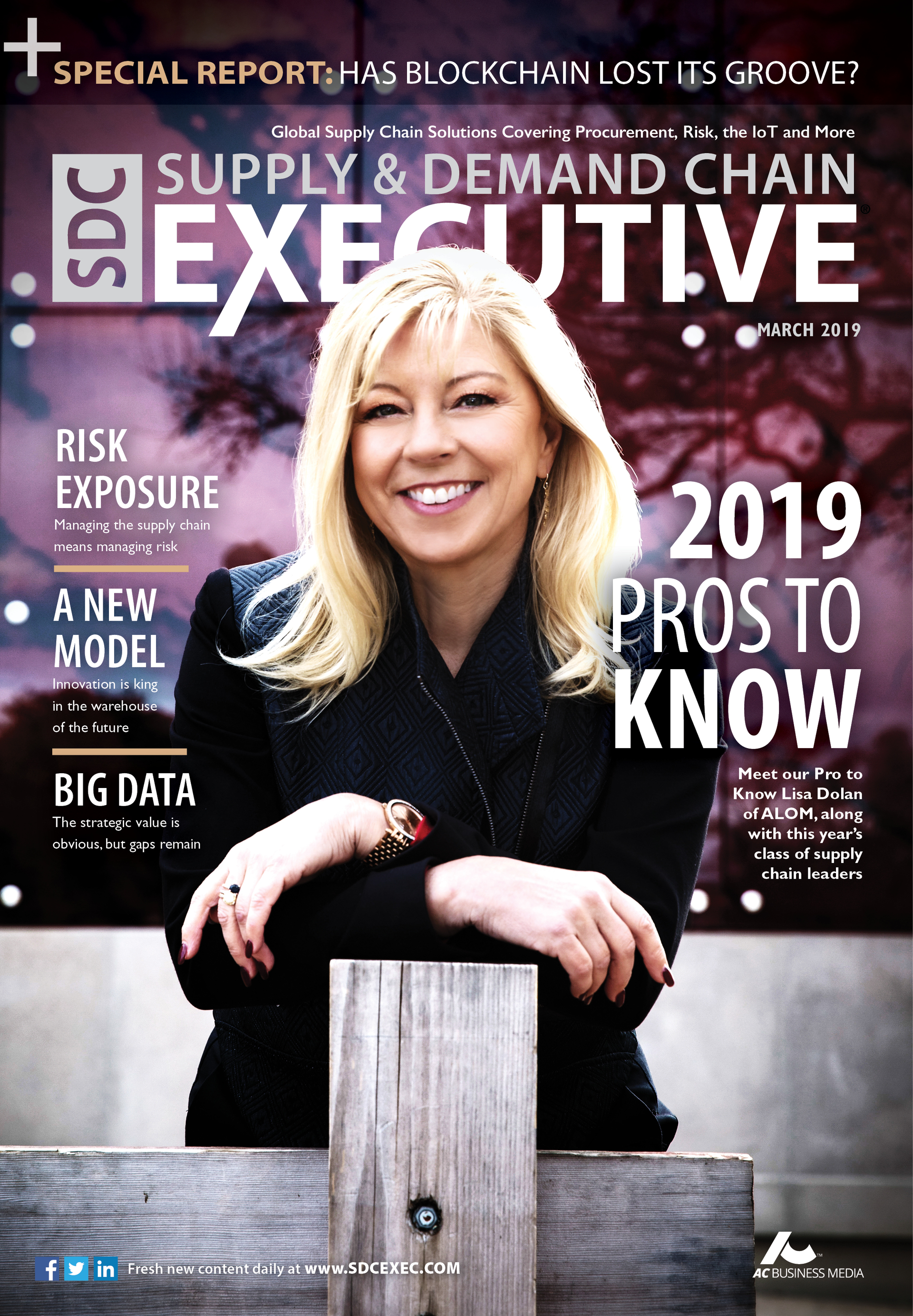 Supply & Demand Chain Executive March 2019