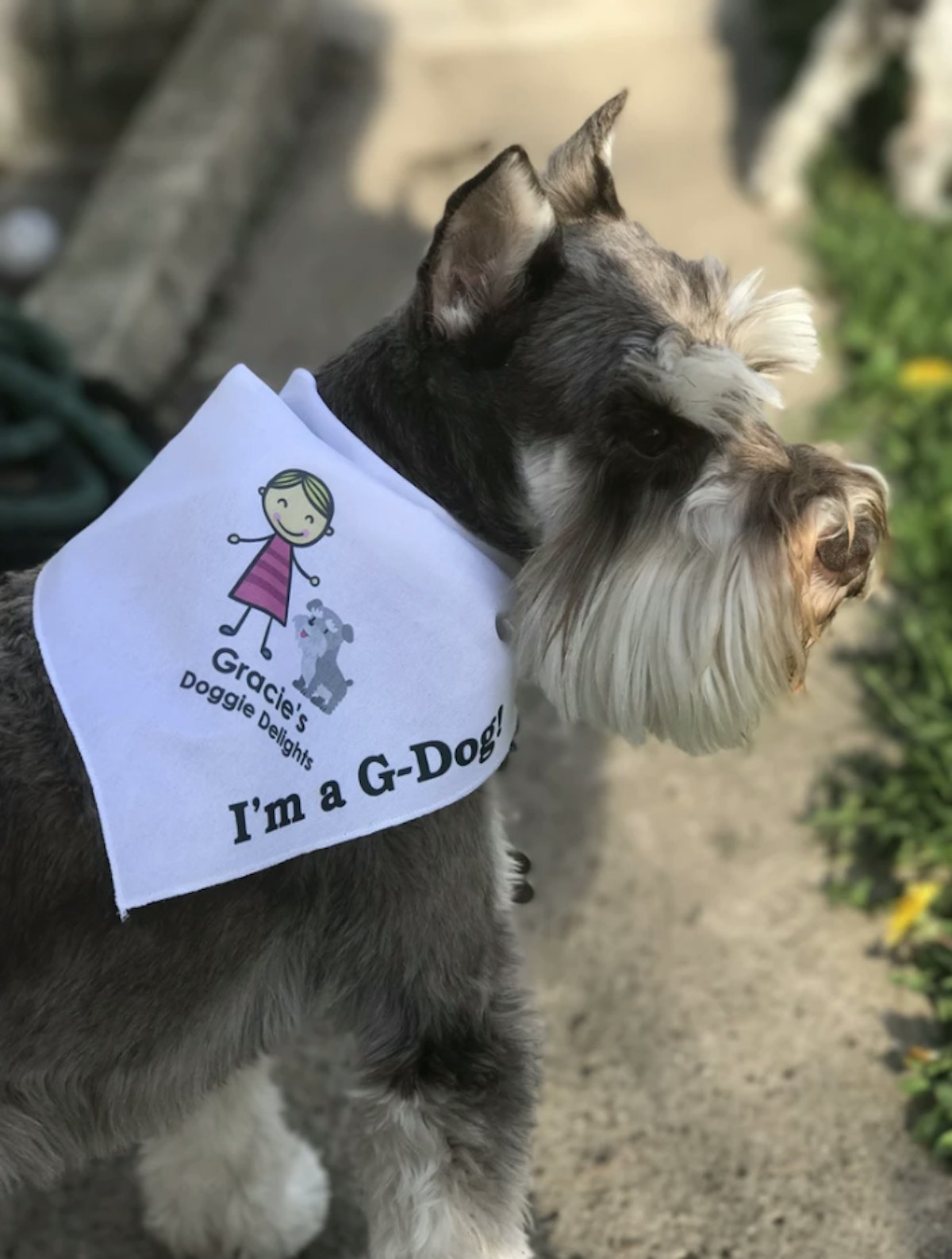 Gracie's dog delights cheap