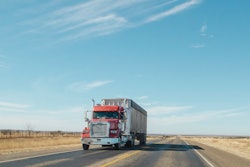 Matthew T Rader 1144631 Unsplash (1)