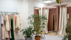 Green Potted Plant Near Fitting Room 3965551