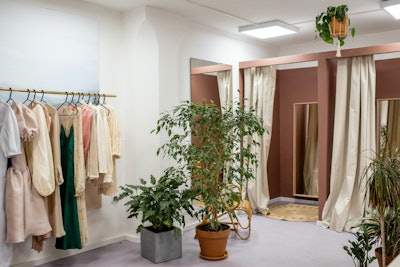 Green Potted Plant Near Fitting Room 3965551