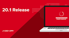 Jaggaer 20 1 Release