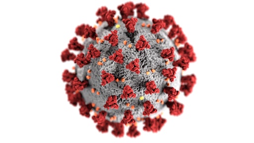 Coronavirus 3992933