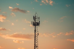 Pexels Vanderlei Longo 2081132