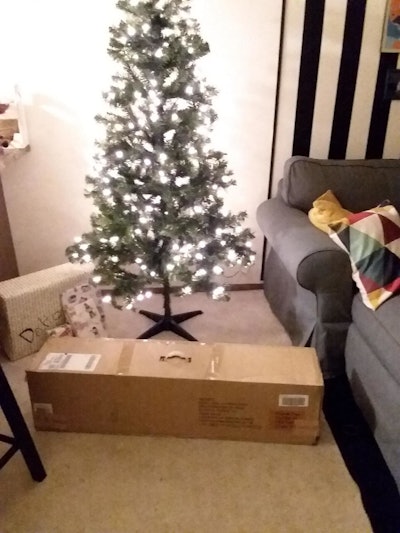 After setting up one tree, I gifted the other one to a co-worker.