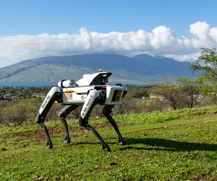 Robot Guard Dogs Help Reduce Cargo Theft | Supply & Demand Chain Executive