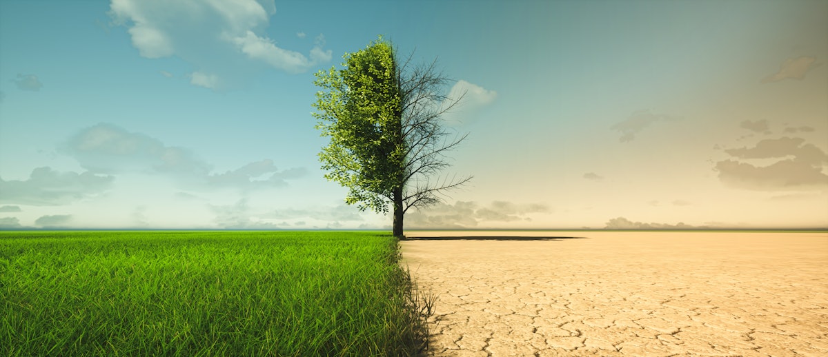 Resilience, Risk, and Return: The Business Case for Sustainable Forestry – Supply & Demand Chain Executive