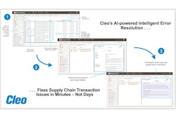 Cleo Intelligent Error Resolution