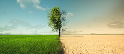 Appledesign Adobe Stock 455801976