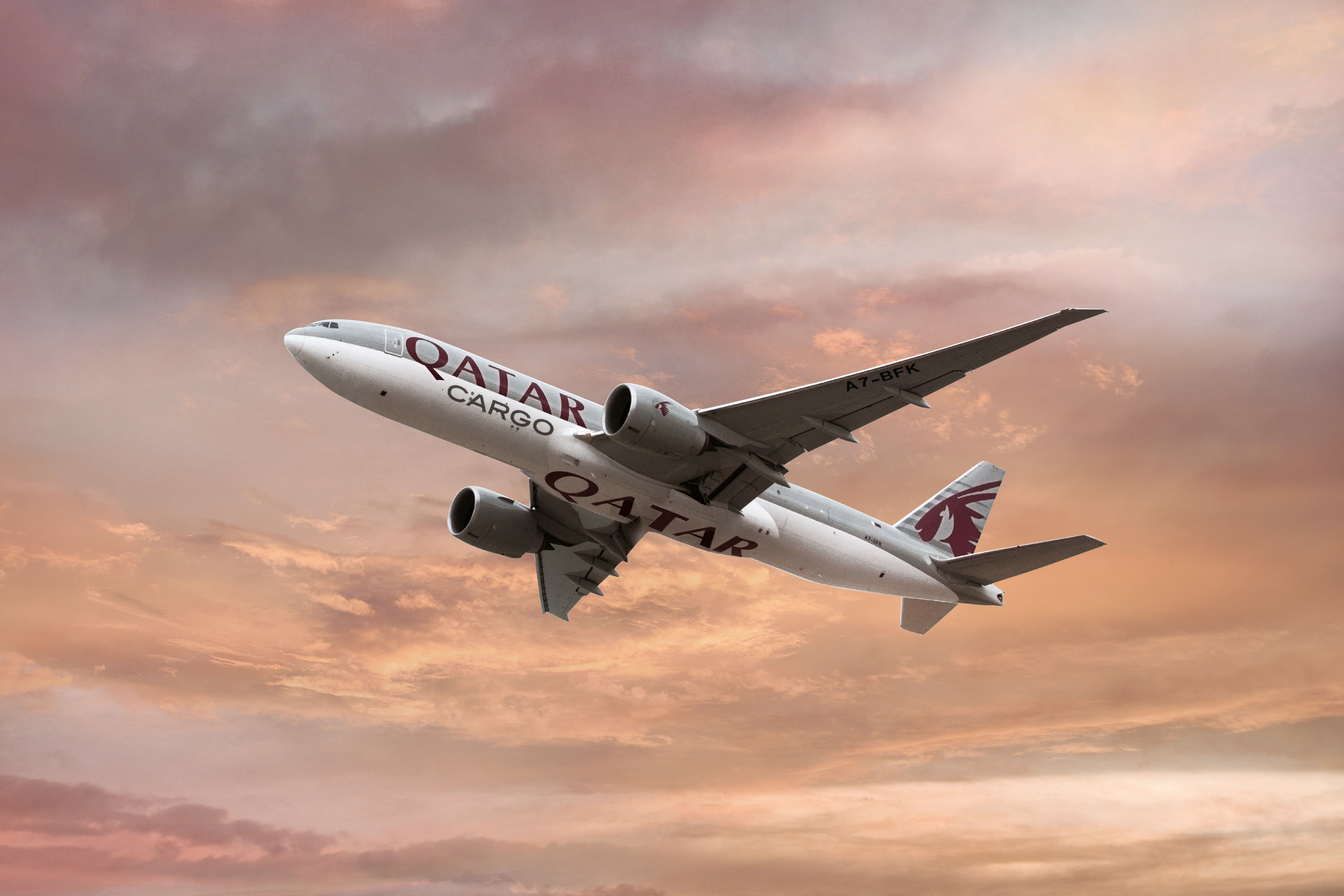 Qatar Airways Cargo Launches Dual-Temperature Transport Solution
