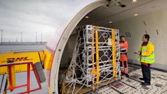 Dhl Group Heavyweight Express Plane